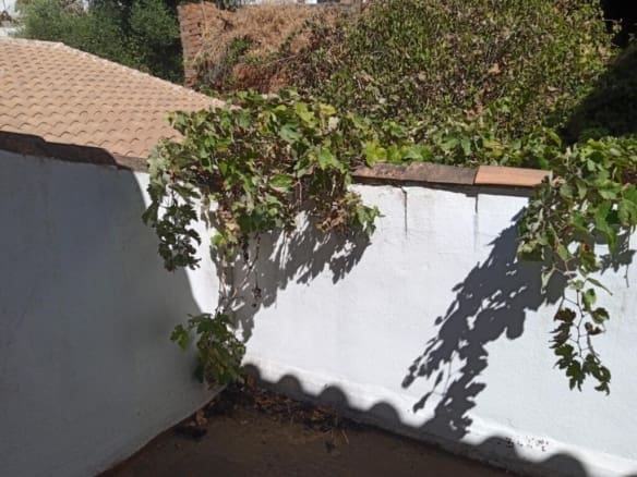 Casa de pueblo Genalguacil - 1218129-05