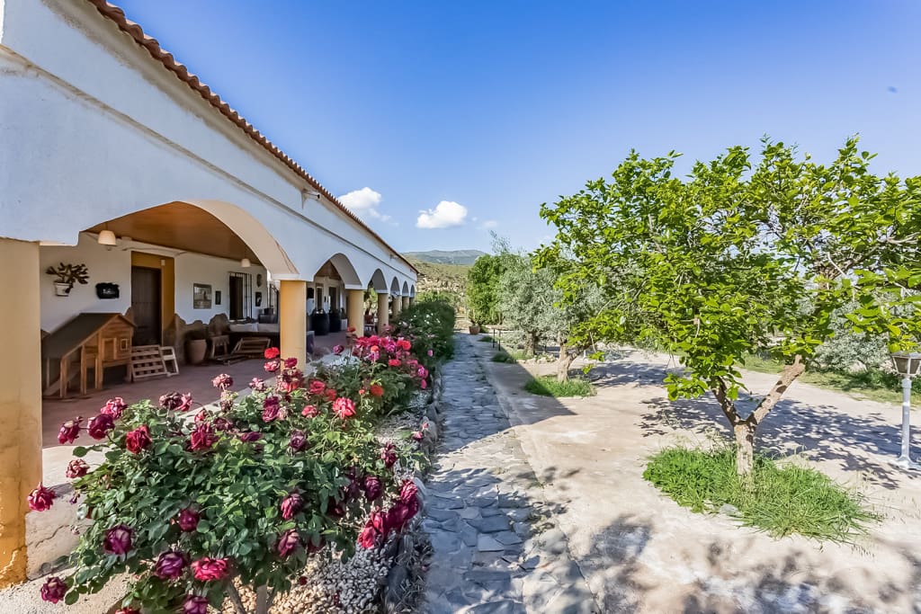 Casa de campo-Masía Fiñana - 1221588-01