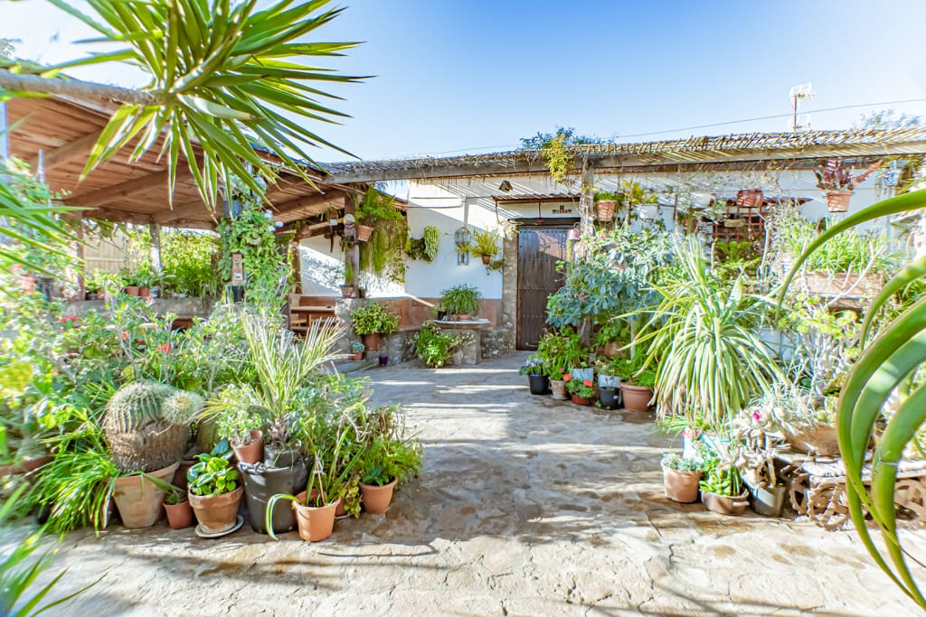 Casa de campo-Masía Fernanperez - 1221603-03