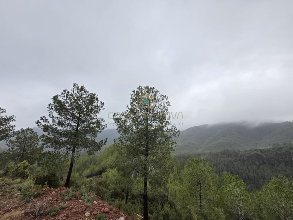 Casa-Chalet Torralba Del Pinar - 1224663-01