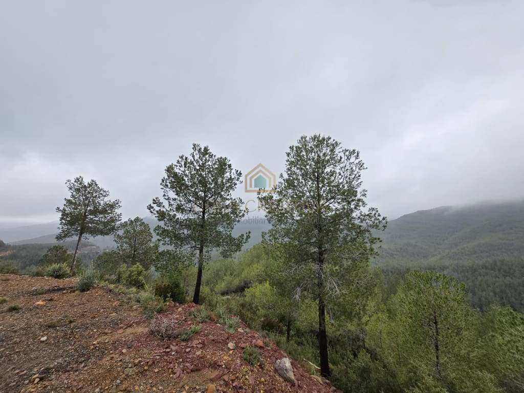 Casa-Chalet Torralba Del Pinar - 1224663-04