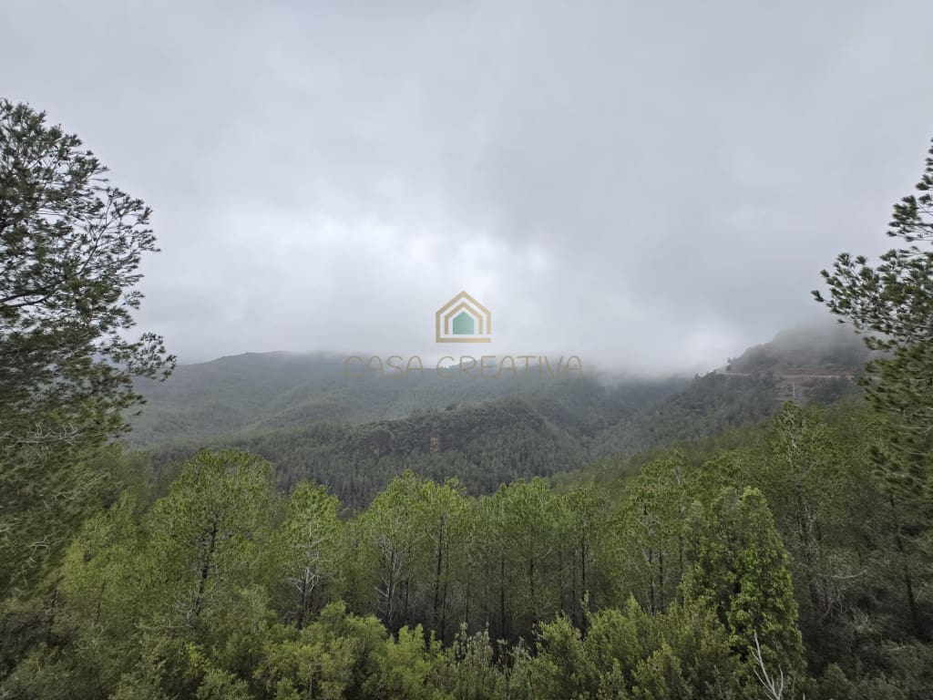 Casa-Chalet Torralba Del Pinar - 1224663-06