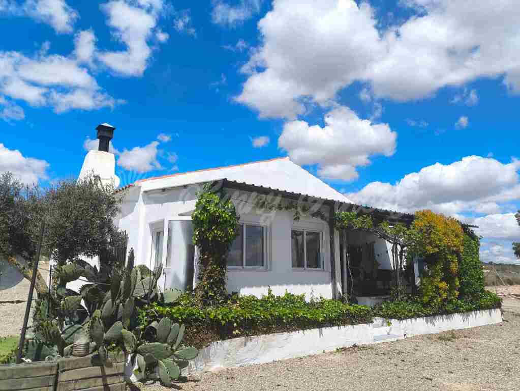 Casa de campo-Masía Yecla - 1228755-01