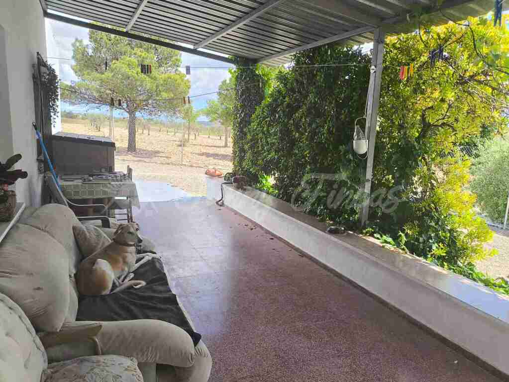 Casa de campo-Masía Yecla - 1228755-05