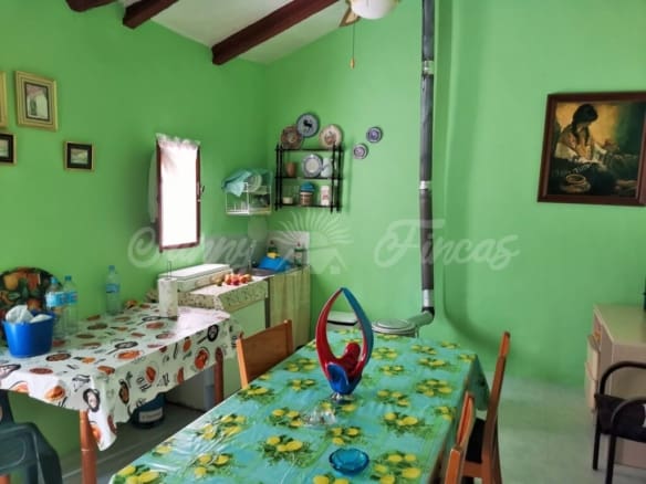 Casa de campo-Masía Yecla - 1229334-04