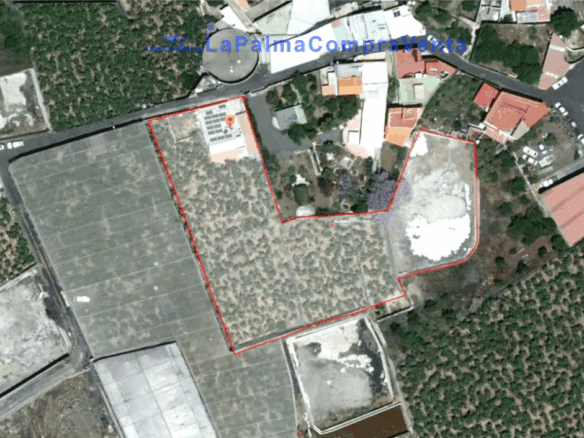 Casa-Chalet Triana - 1229820-06