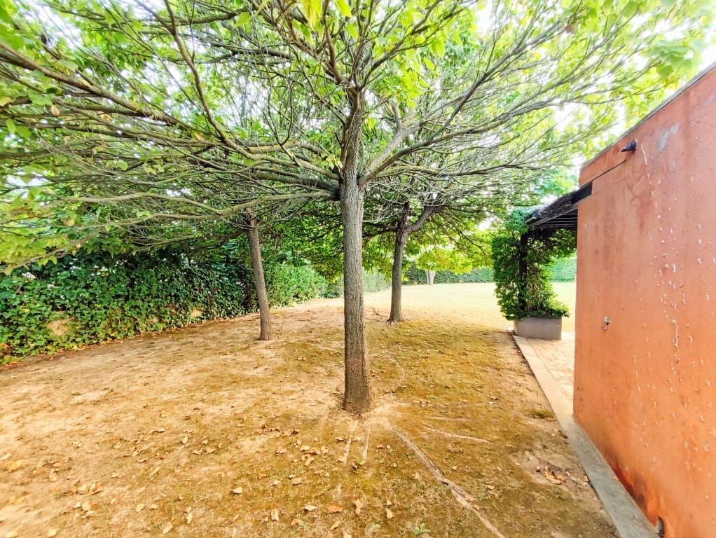 Casa de pueblo Cervia De Ter - 1231901-06