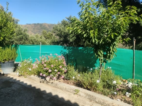 Casa de campo-Masía Pago Del Estercal - 1232363-03