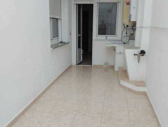 Piso Cervo - 1232403-03