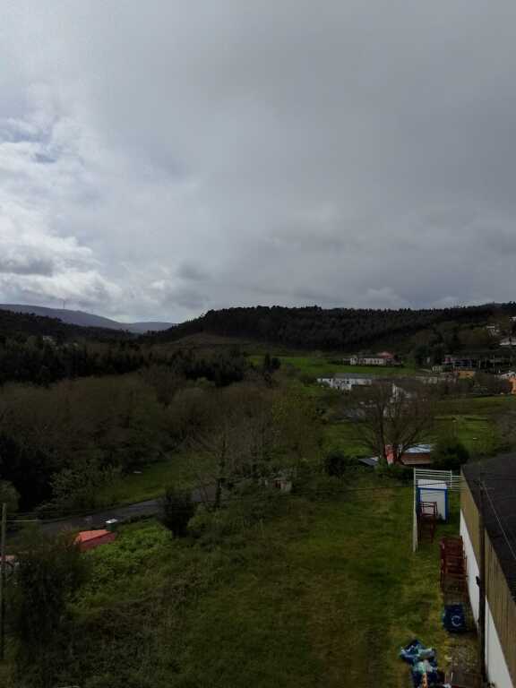Piso Cervo - 1232403-02