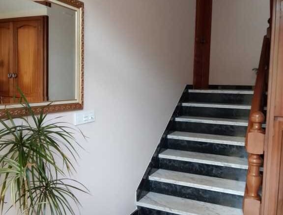 Piso Cervo - 1232403-01