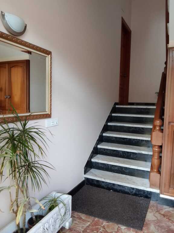 Piso Cervo - 1232403-01