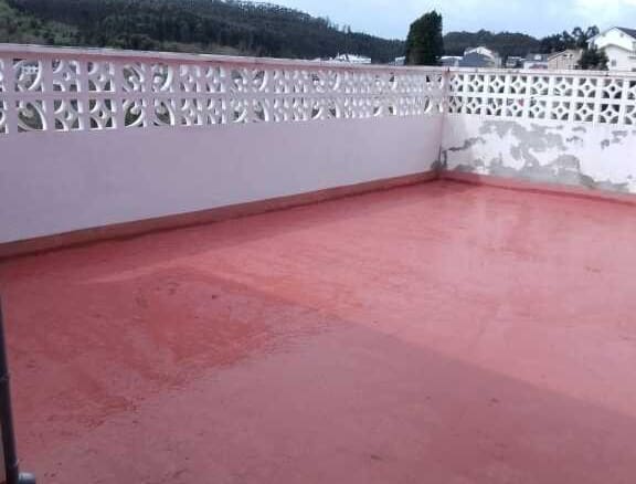Piso Cervo - 1232403-04
