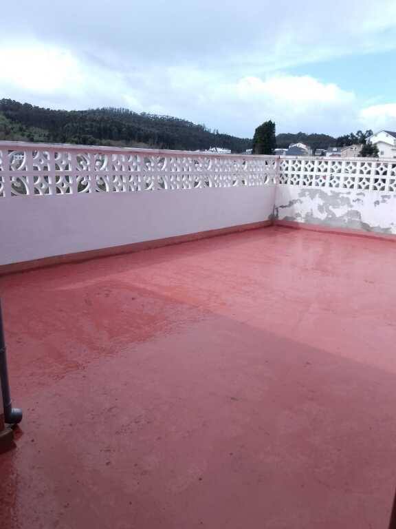 Piso Cervo - 1232403-04
