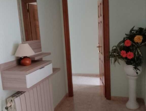 Piso Cervo - 1232403-05