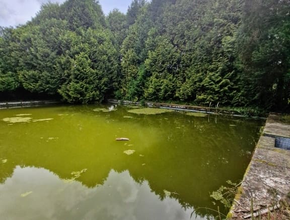 Casa de campo-Masía Amañecida
