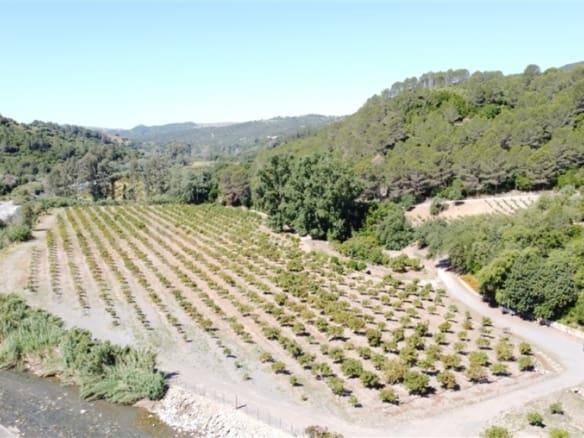 Casa de campo-Masía Gaucín - 1234119-02