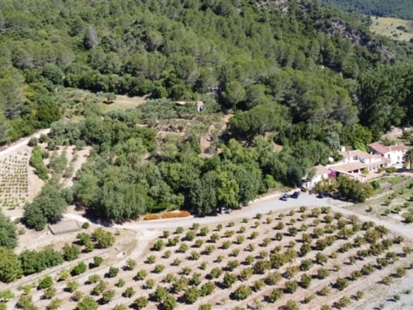 Casa de campo-Masía Gaucín - 1234119-05