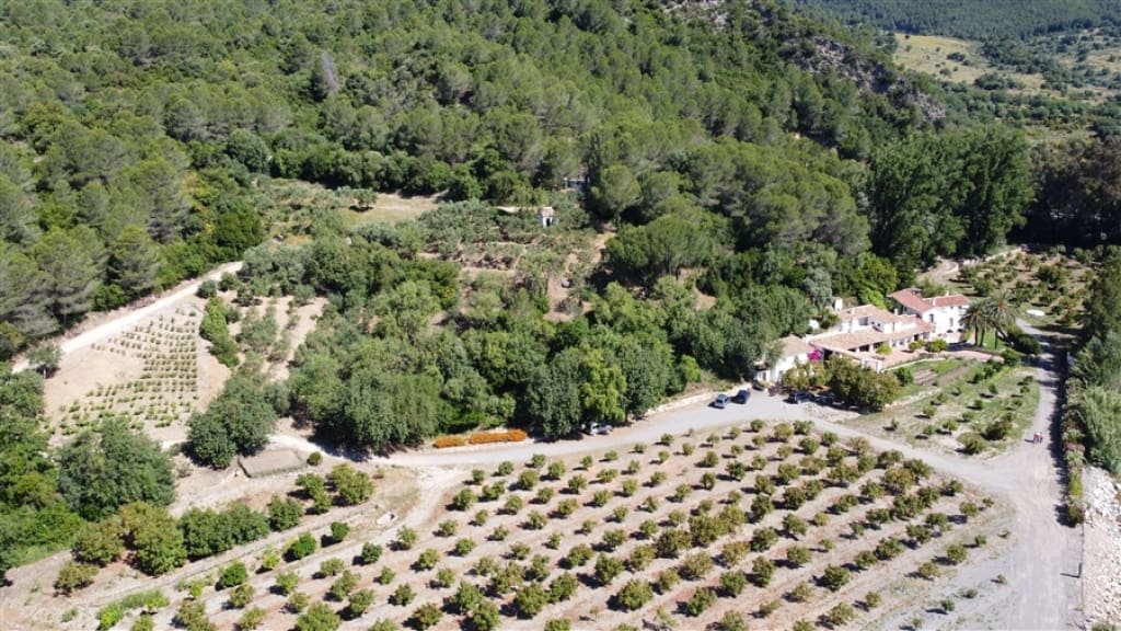 Casa de campo-Masía Gaucín - 1234119-05