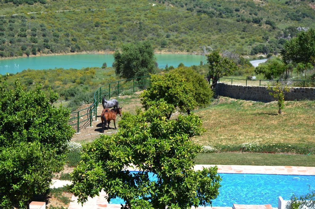 Casa de campo-Masía Montecorto - 1234269-04