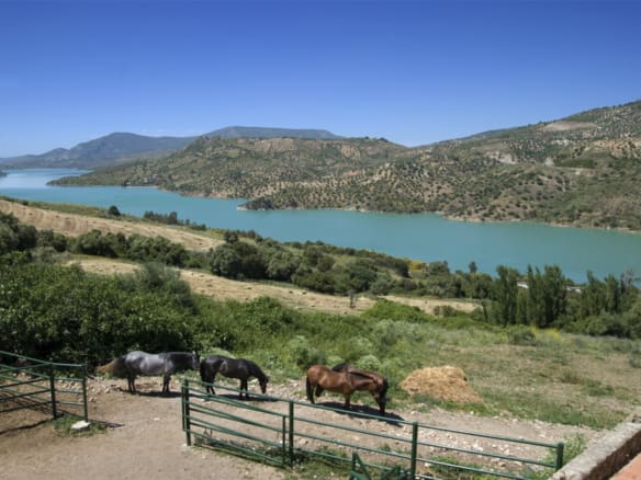 Casa de campo-Masía Montecorto - 1234269-01