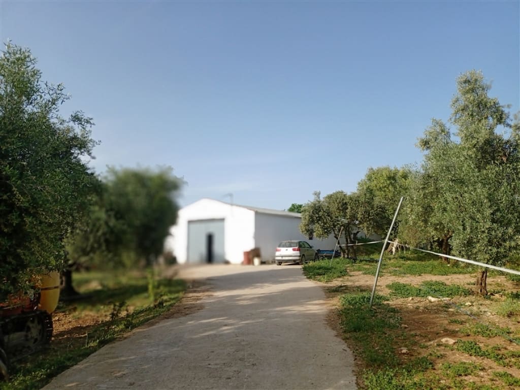 Casa de campo-Masía Arriate - 1234602-02