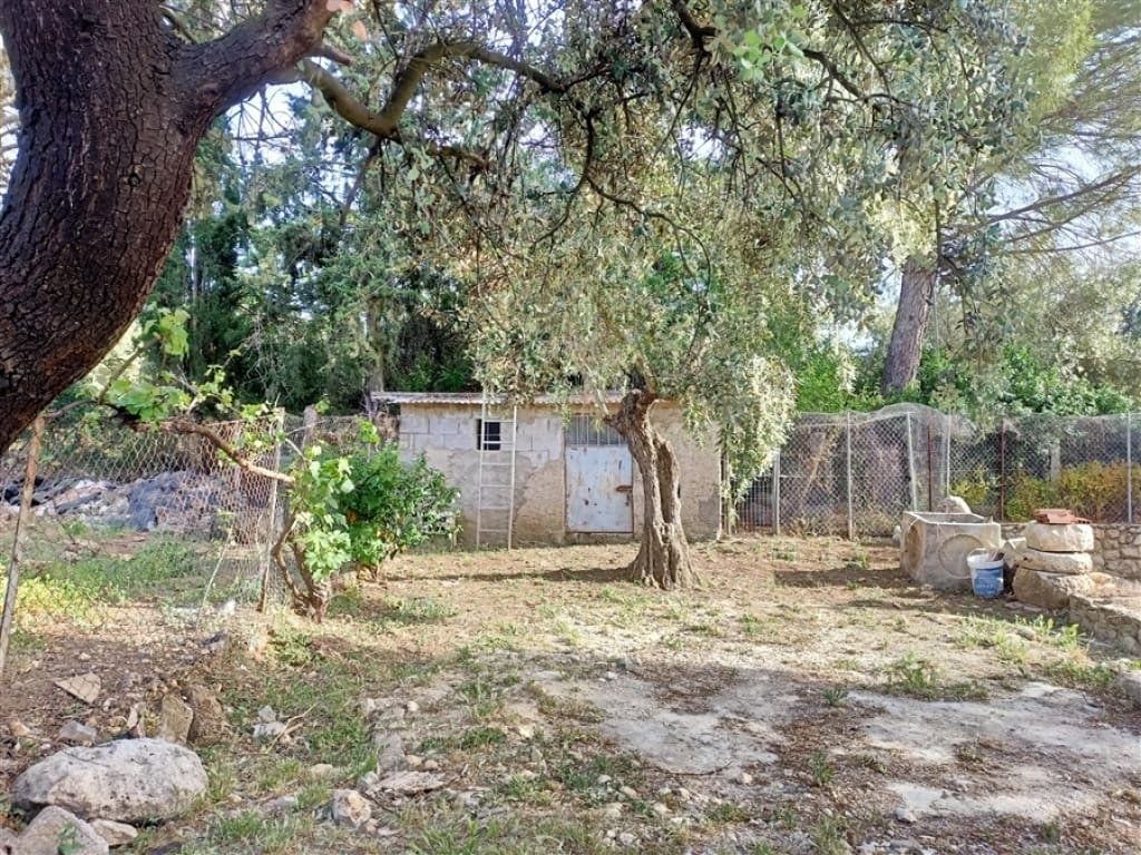 Casa de campo-Masía Arriate - 1234602-05