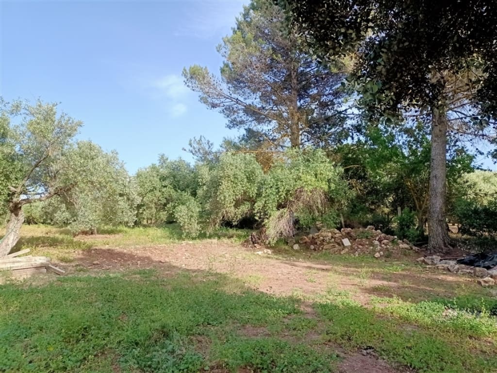 Casa de campo-Masía Arriate - 1234602-06