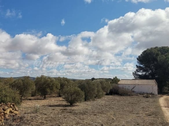 Alquiler Casa de campo-Masía Yecla 30510