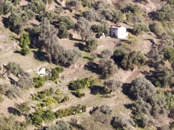 Alquiler Casa de campo-Masía Genalguacil 29492