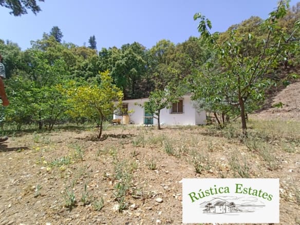 Casa de campo-Masía Jubrique - 1051063-01