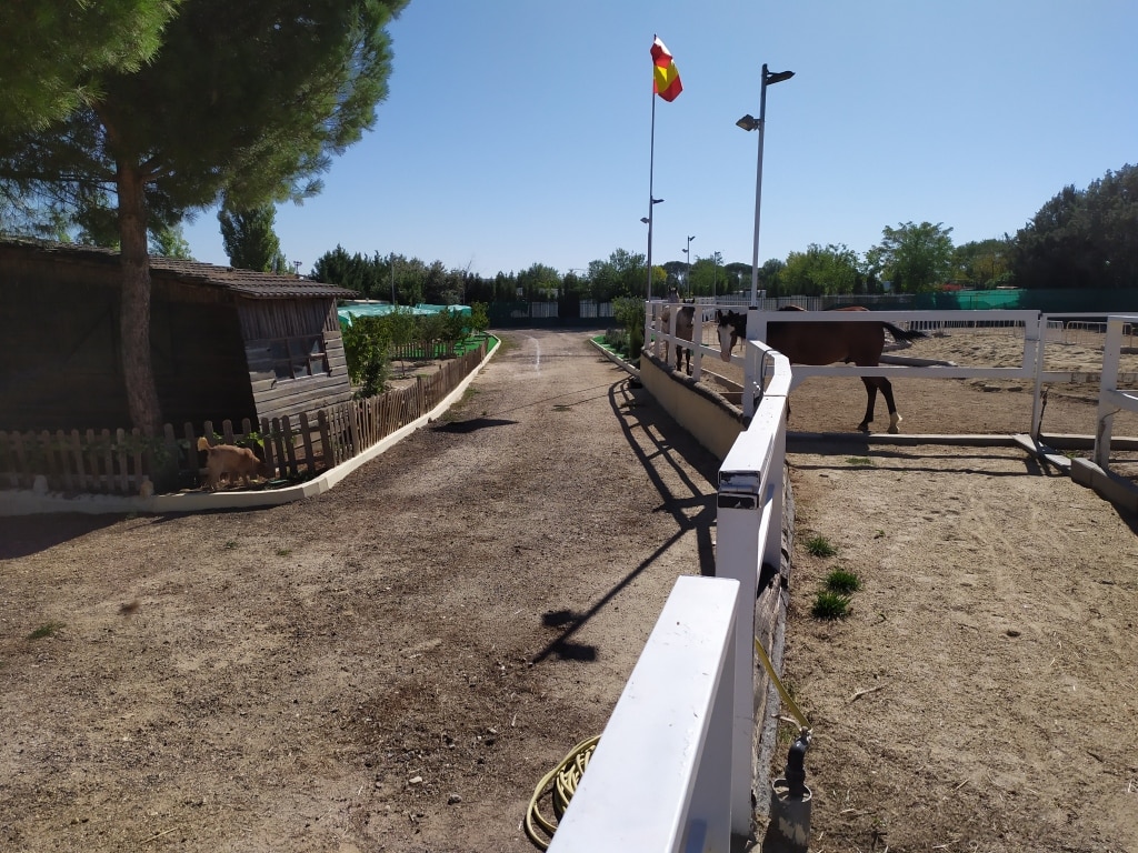 Casa de campo-Masía Fuente El Saz De Jarama - 1054922-05