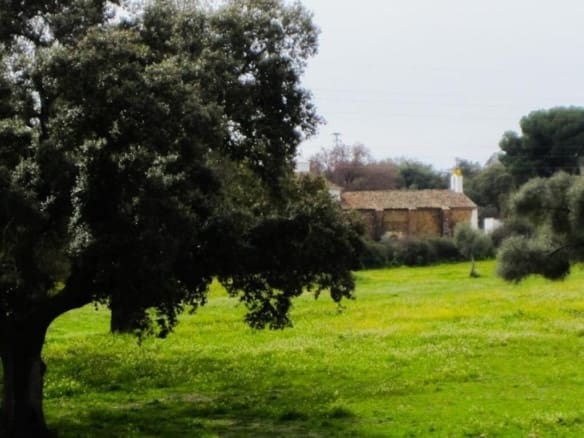 Casa-Chalet Cala - 1192126-01