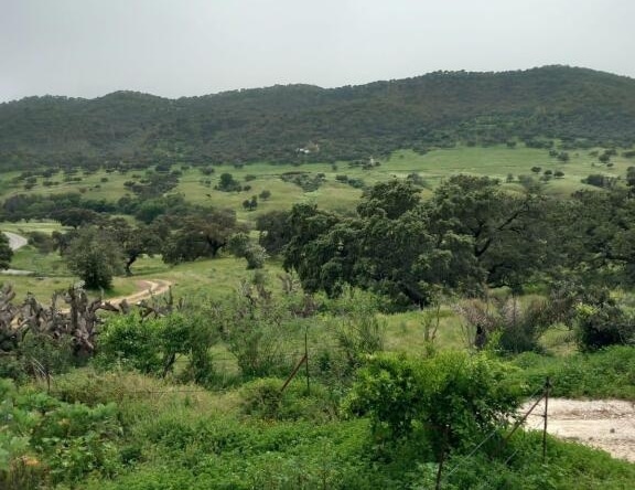 Casa de campo-Masía Cazalla De La Sierra - 1193523-04