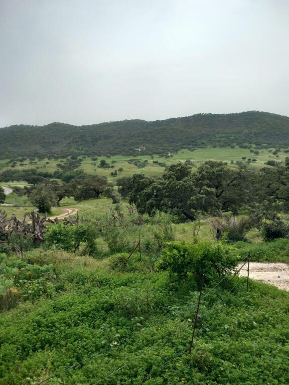 Casa de campo-Masía Cazalla De La Sierra - 1193523-04