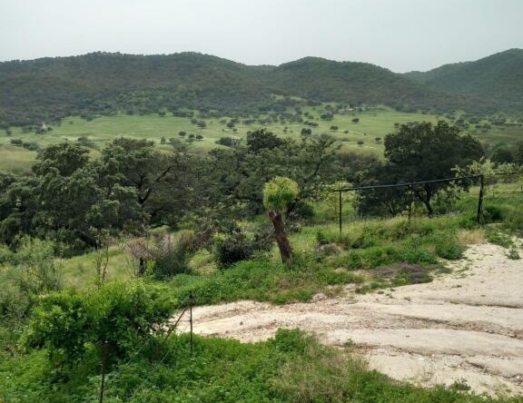 Casa de campo-Masía Cazalla De La Sierra - 1193523-05