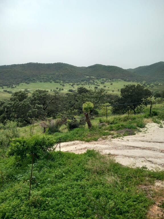 Casa de campo-Masía Cazalla De La Sierra - 1193523-05