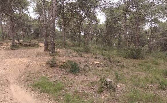 Casa de campo-Masía Estartit - 1053585-05