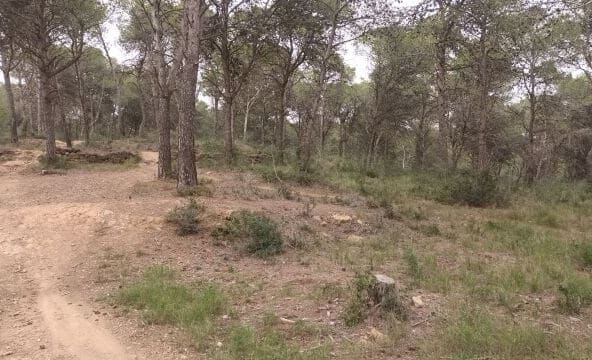 Casa de campo-Masía Estartit - 1053585-05