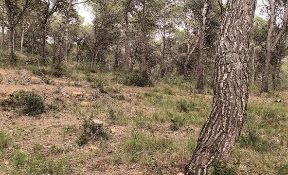 Casa de campo-Masía Estartit - 1053585-06