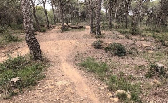 Casa de campo-Masía Estartit - 1053585-04