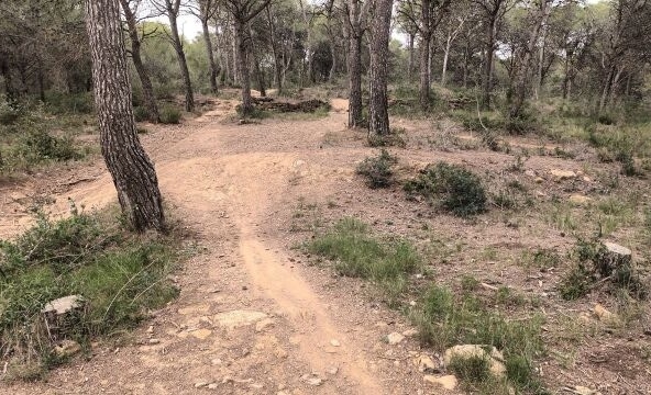 Casa de campo-Masía Estartit - 1053585-04