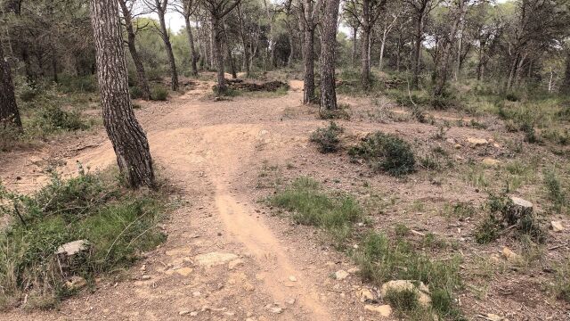 Casa de campo-Masía Estartit - 1053585-04