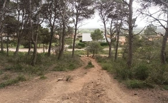 Casa de campo-Masía Estartit - 1053585-03