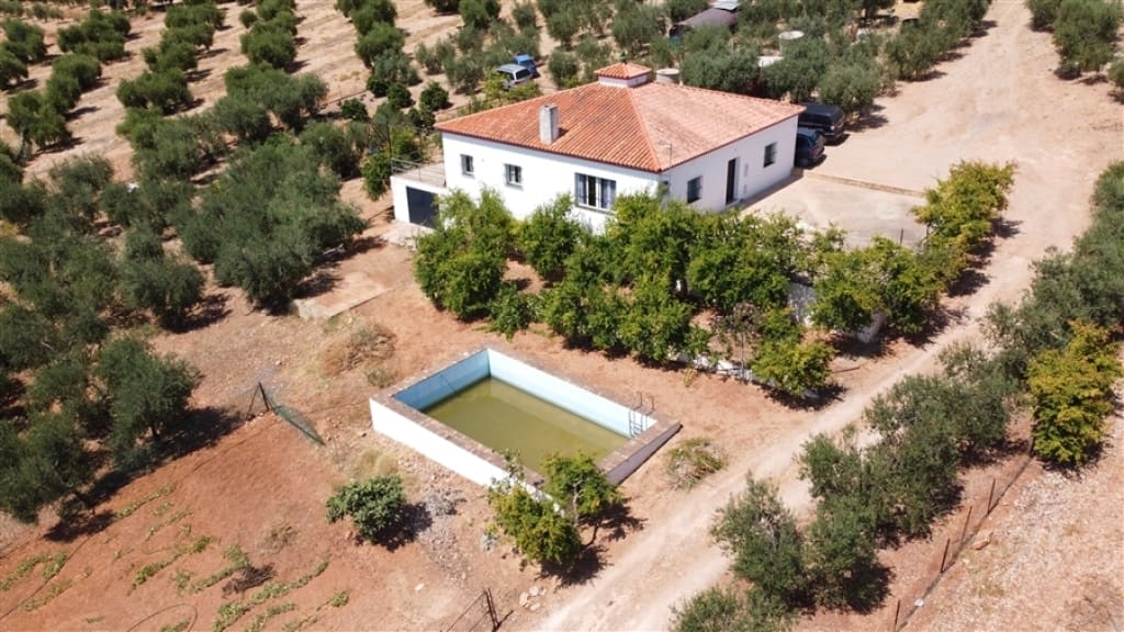 Casa de campo-Masía Montellano - 1193789-01
