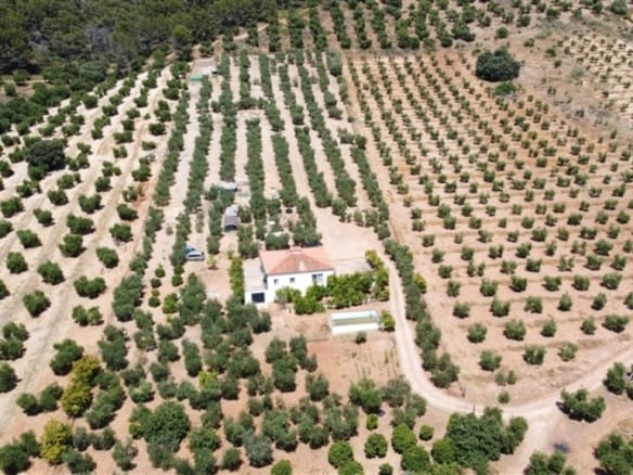 Casa de campo-Masía Montellano - 1193789-03
