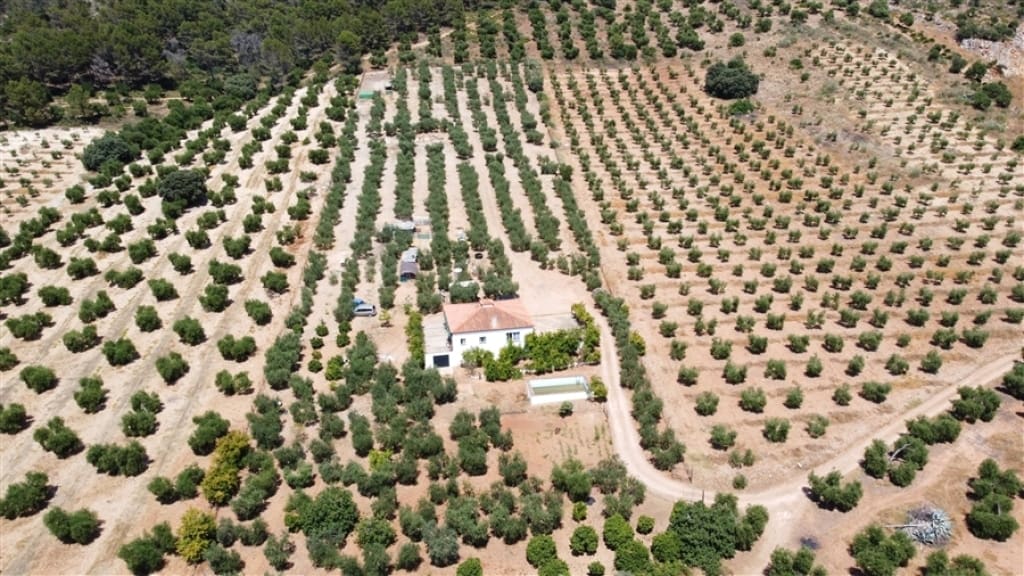 Casa de campo-Masía Montellano - 1193789-03