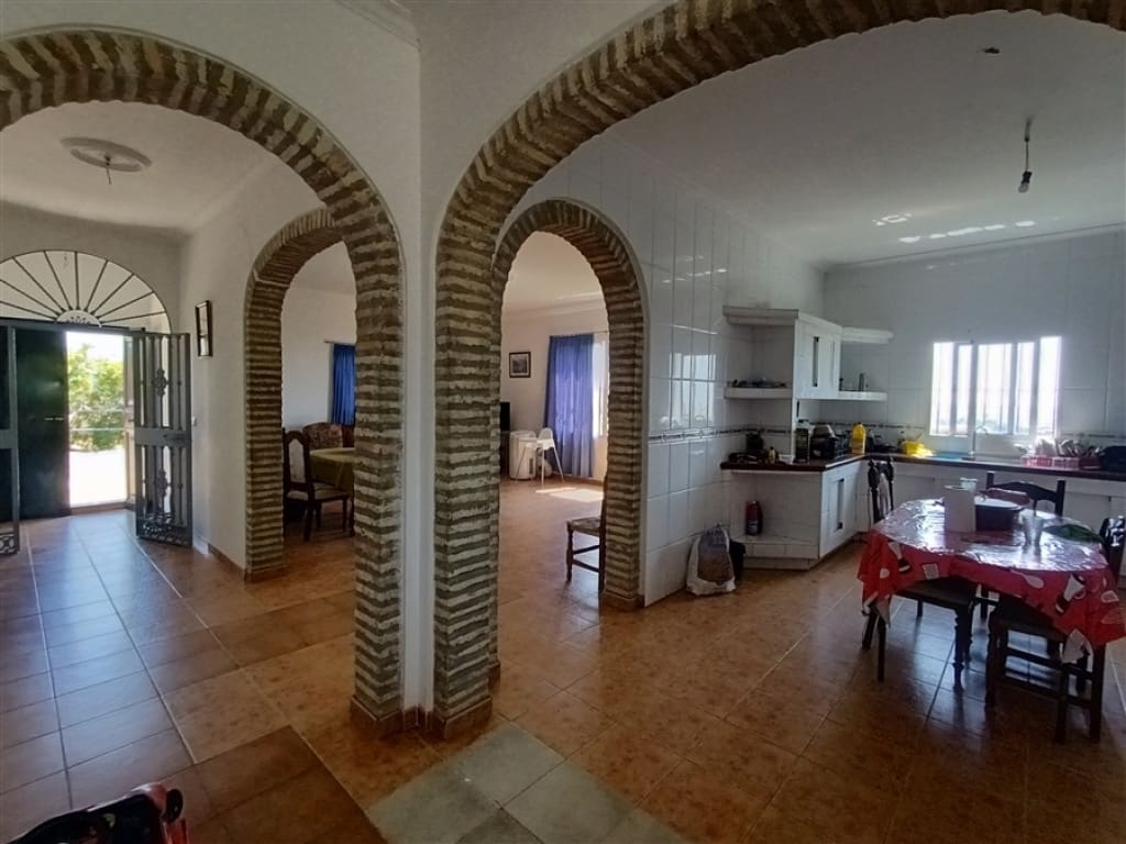 Casa de campo-Masía Montellano - 1193789-06