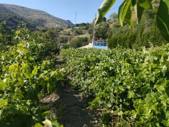 Casa de campo-Masía Cartajima - 1193810-04