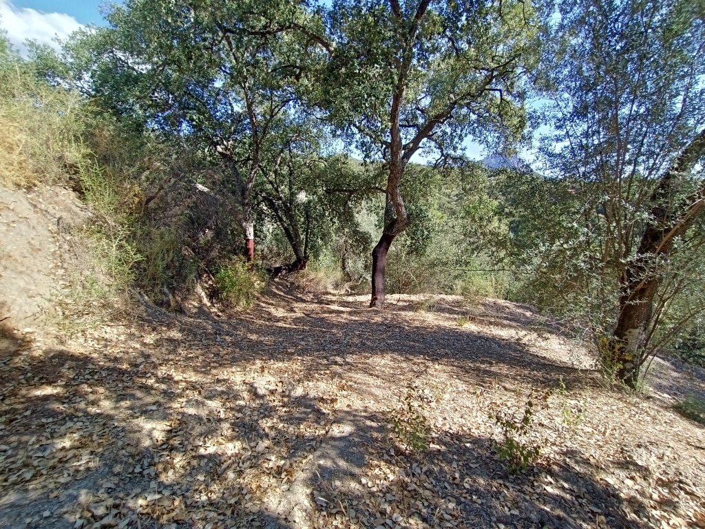 Casa de campo-Masía Benarraba - 1197680-06